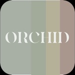 Orchide