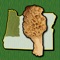 The forests and woodlands of the Pacific Northwest are ecosystems rich with edible wild mushrooms if you know where to look