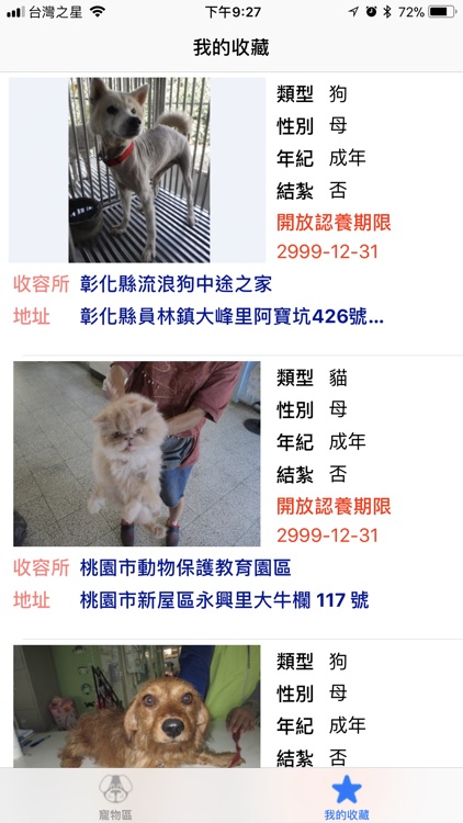 寵物認養(請用認養代替買賣) screenshot-4