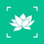 万物识别 - 原植物识别App