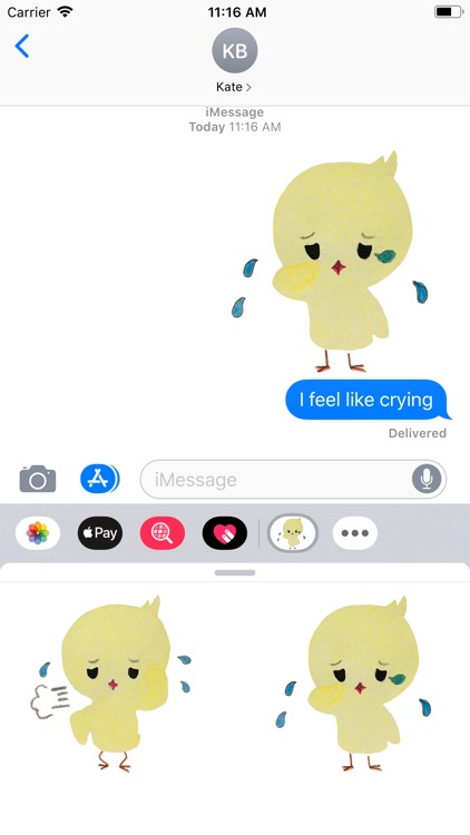 Joy and Sorrow of CHICK