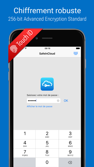 SafeInCloud Pro