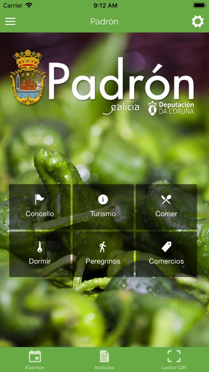 Padrón