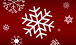 Holiday Snowsaver