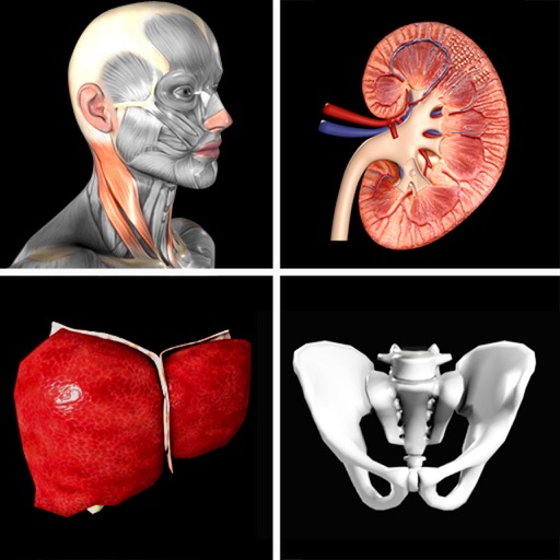 Anatomy Quiz Pro iOS App