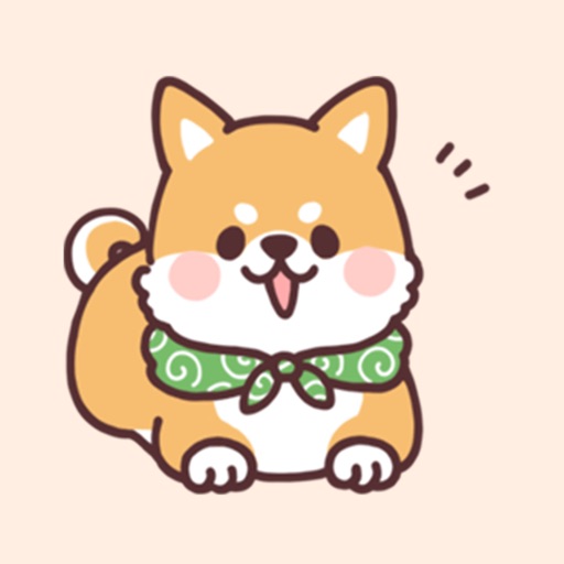 fluffy fat Shiba4