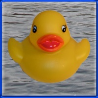 Duck Invader apk