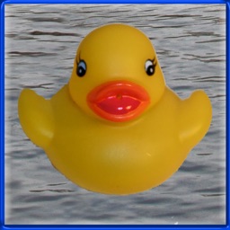 Duck Invader