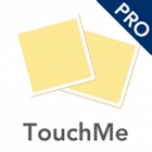 TouchMe Pairs Pro