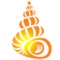 Instant shell identification using your phone’s camera