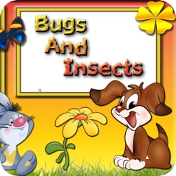 Bugs & Insects