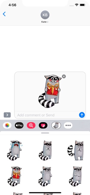 Racoon Stickers Pack(圖6)-速報App