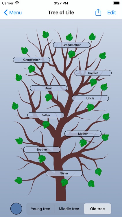 Tree of Life - Family Tree