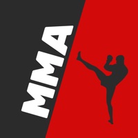 Blaze MMA fight pass game на пк