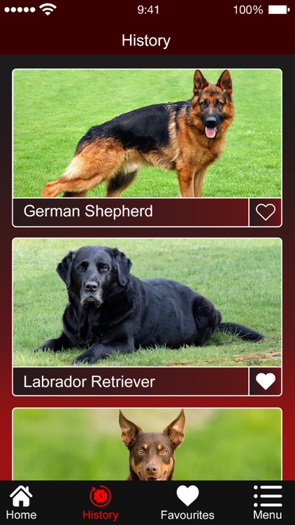 Identify Dog Breeds