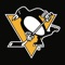 This is the official Pittsburgh Penguins Mobile app
