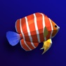 Get Tayasui Aquarium for iOS, iPhone, iPad Aso Report