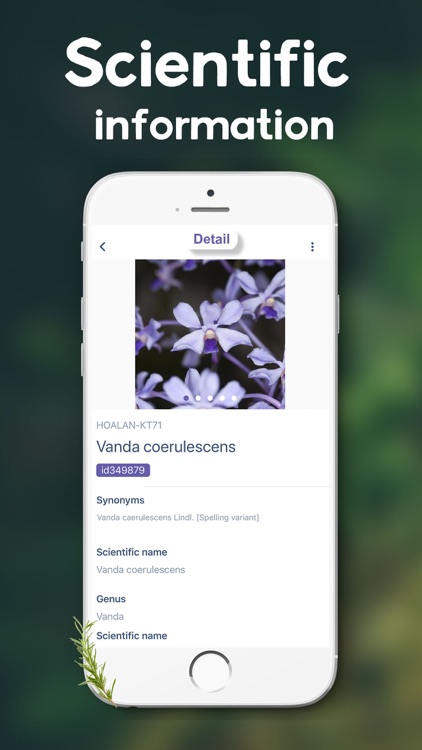 Lookuq Orchid Recognition screenshot-6