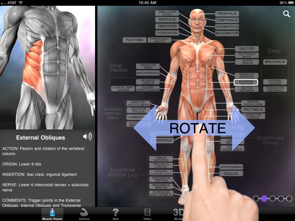 Muscle & Bone Anatomy 3D screenshot 2