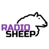 Radio Sheep