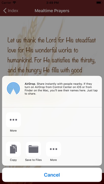 Mealtime Prayers screenshot-3