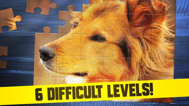 Cute Dogs Puppy Jigsaw Puzzle