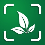Plant identifier and Search