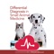 Differential Diagnosis in Small Animal Medicine, Second Edition brings together comprehensive differential diagnosis lists covering a wide range of presenting signs