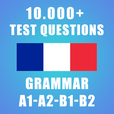 French Grammar Test