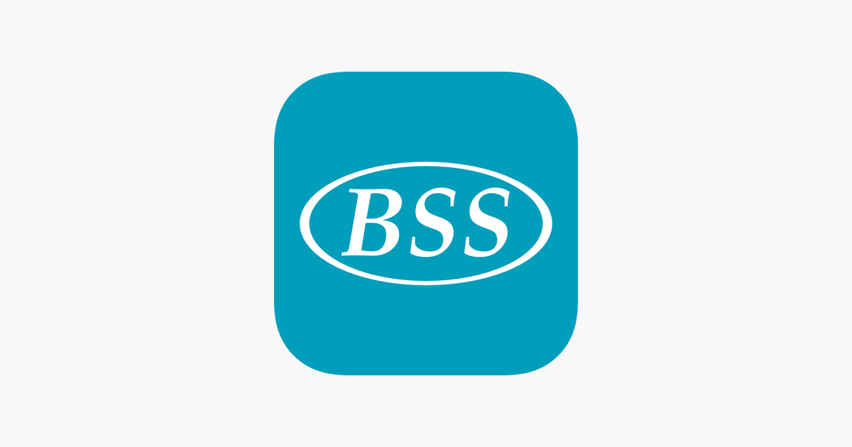 Present bss. Логотип БСС. BSS картинка. ООО БСС. BSS черно белый логотип.