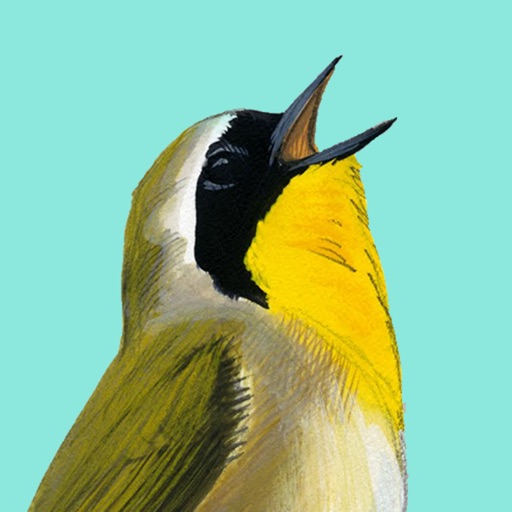 Song Sleuth: Auto Bird Song ID iOS App