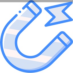 Magnetic Field Detection