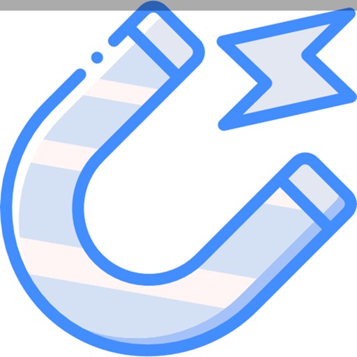 Magnetic Field Detection