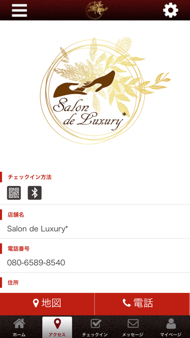 Salon de Luxury* screenshot 4
