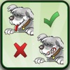 Ten differences with animals Ten differences with animals