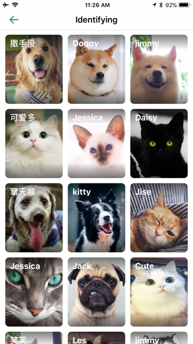 Nearby Pets - Pet assistant screenshot 4