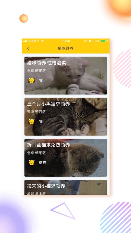 求带走-流浪猫狗收养信息平台