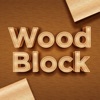 Wood Block Brain Puzzle