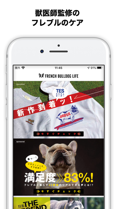 French Bulldog Life screenshot 2