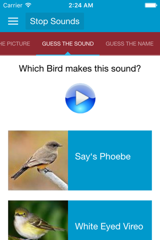 North American Birds and Sound screenshot 4