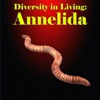 Diversity in Living: Annelida