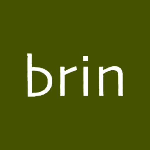 Brin Connect