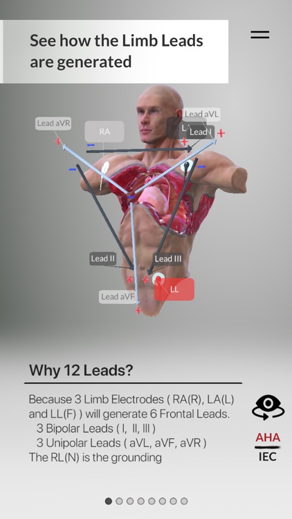 3D ECG Leads screenshot-9