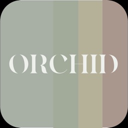 Orchide