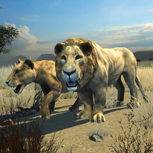 Clan of Lions - Boris Tsarkov