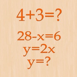 Arithmetic brain