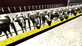 Game screenshot ISDA AR 2020 - Dairy apk