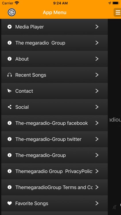 MegaRadio Group Player screenshot-4