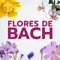 Adéntrate al mundo de las flores de bach y de la auto sanación, conoce el legado de muchas culturas al rededor del mundo con la terapéutica floral