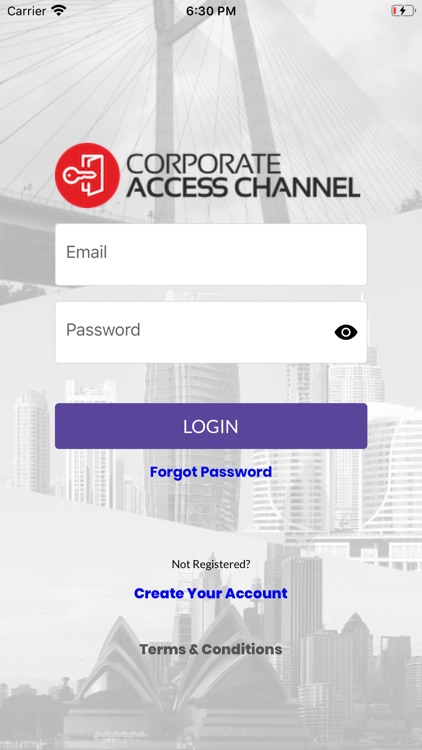 Corporate Access Channel